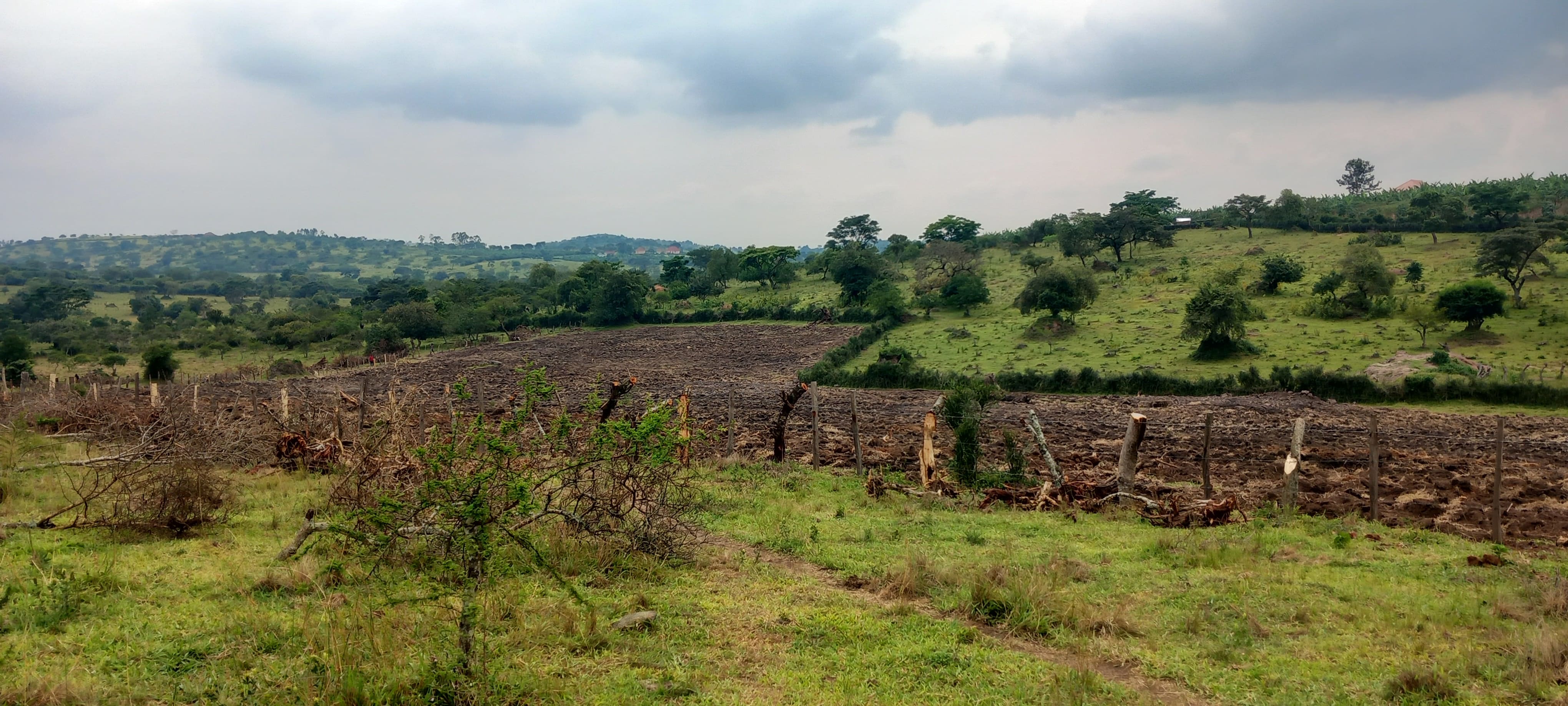 Land Preparation